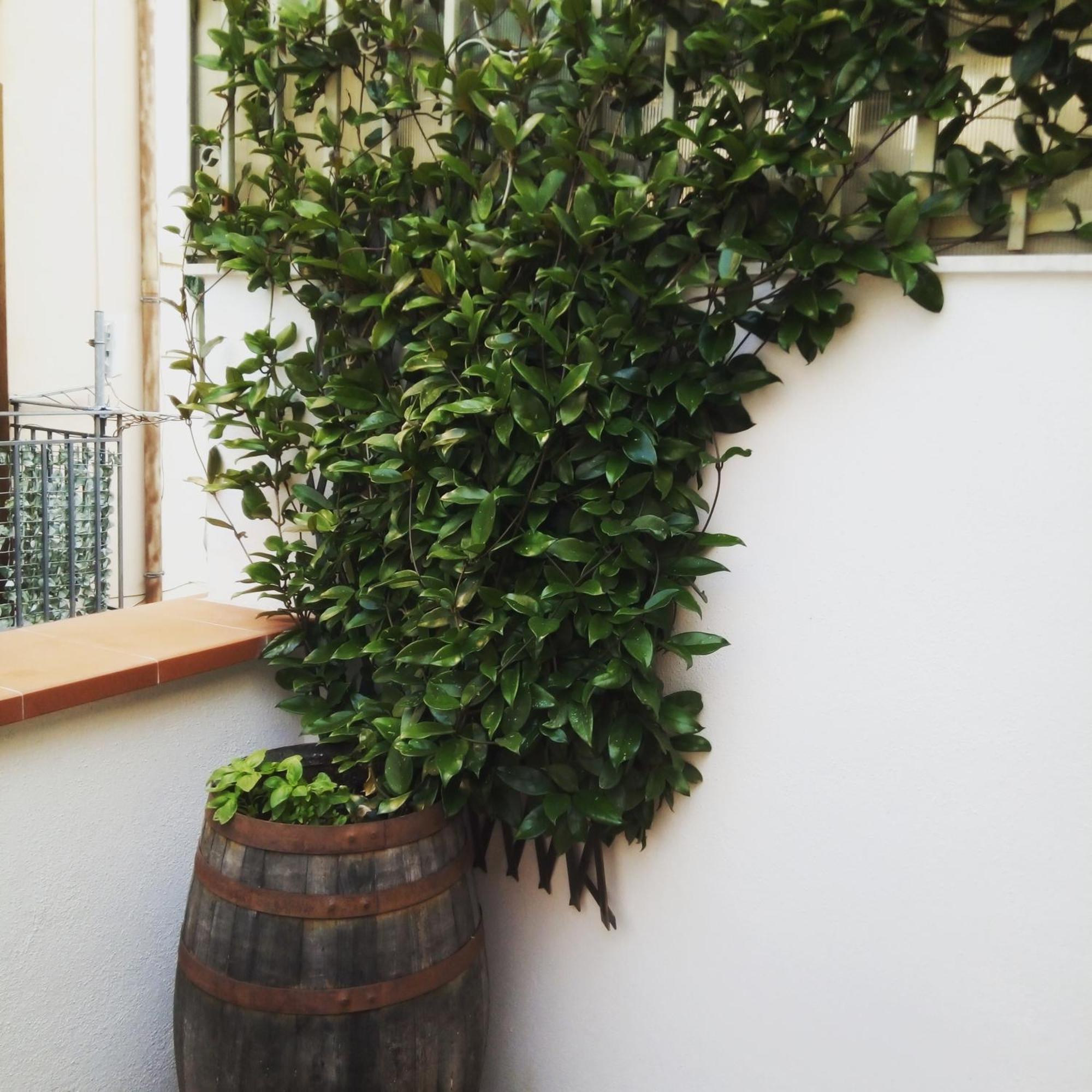 Apartament Il Terrazzino Sul Kemonia Palermo